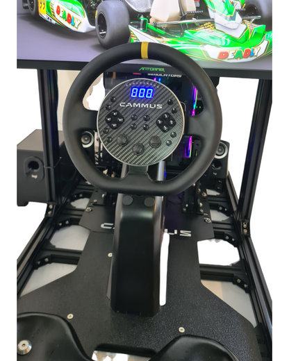 Pro Kart Simulator — product photo 8